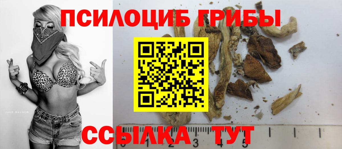 Псилоцибиновые грибы MAGIC MUSHROOMS  Вход с VPN  Кинель 
